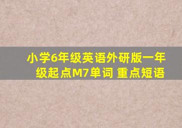 小学6年级英语外研版一年级起点M7单词 重点短语